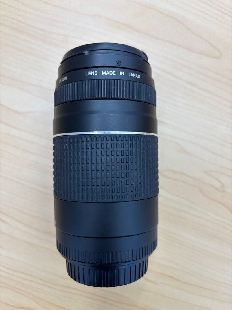 Canon キャノン EF 75-300mm 1:4-5.6 III USM