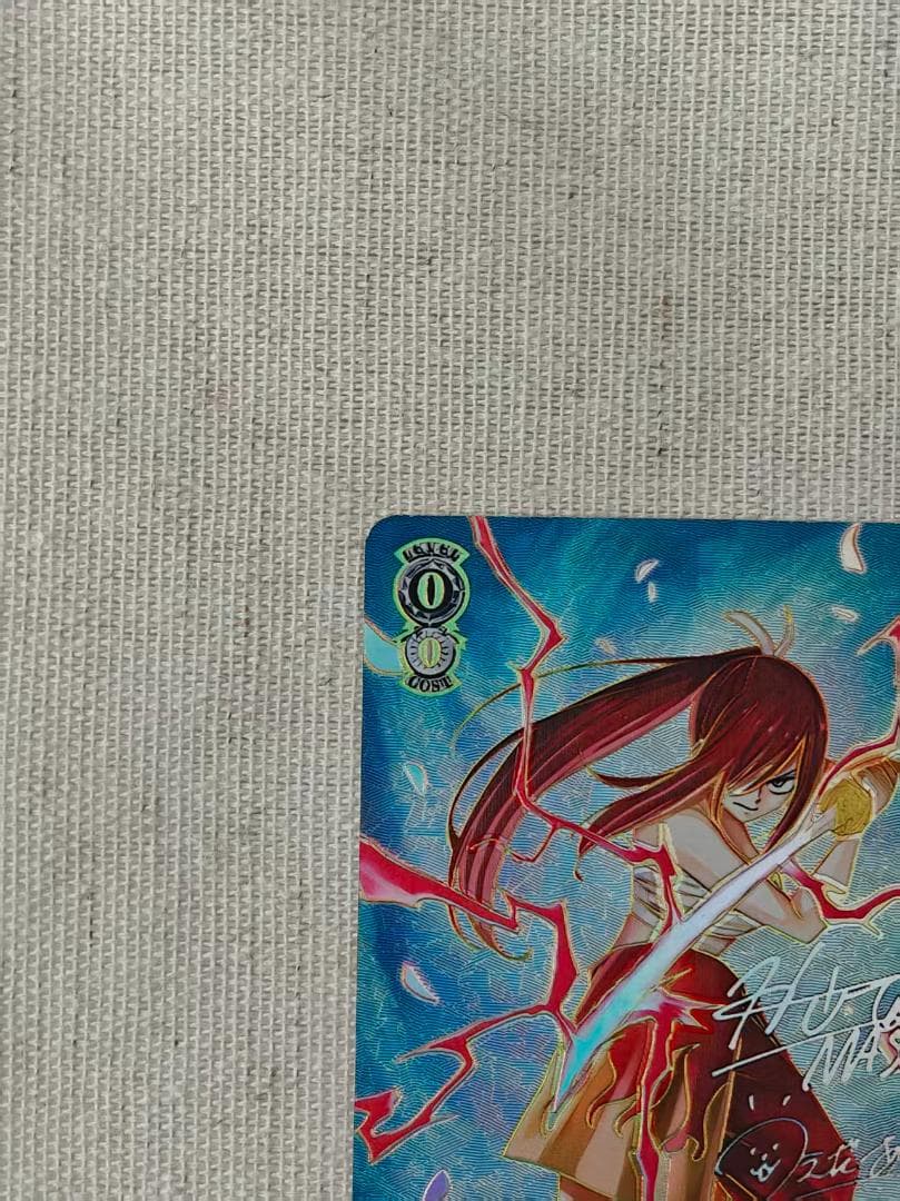 ヴァイスシュヴァルツFAIRYTAIL仲間を守る為の剣エルザSEC - メルカリ