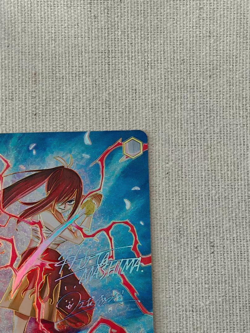 ヴァイスシュヴァルツFAIRYTAIL仲間を守る為の剣エルザSEC - メルカリ