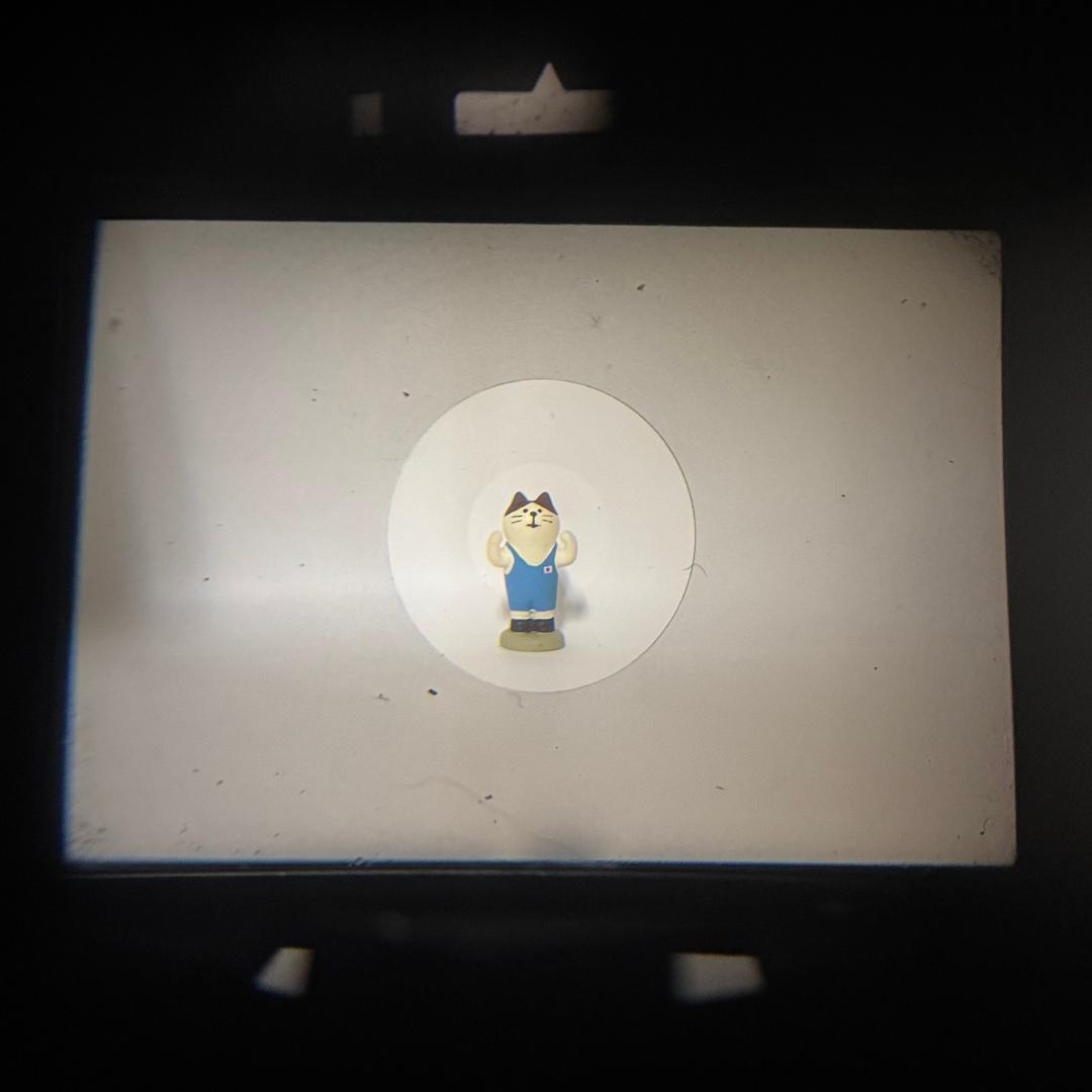 整備済 Nikon F フォトミック 富士山 Nikkor-S 50mmF1.4