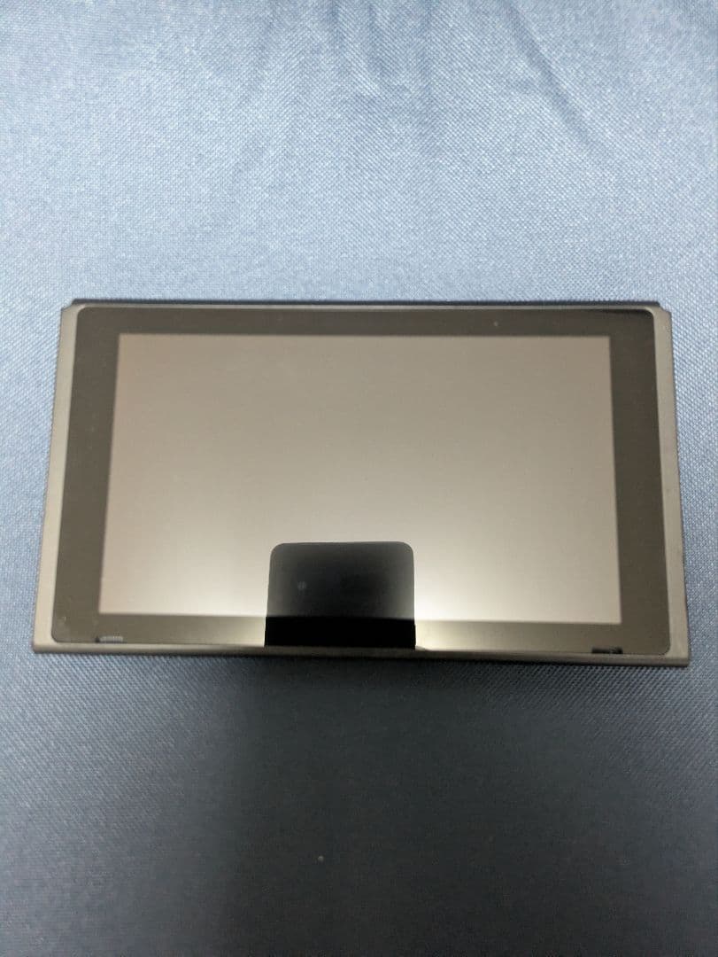 本日まで/Nintendo Switch 本体 + 純正プロコン Nintendo Switch プロコン スイッチ純正 Proコントローラー : ゴマ