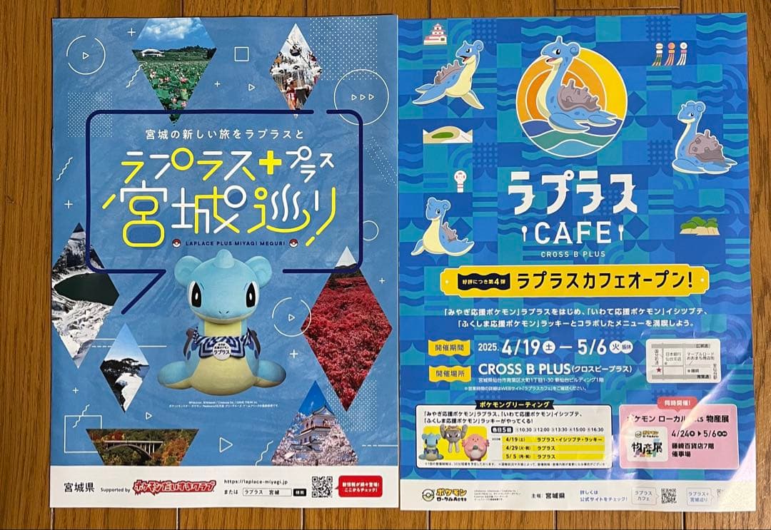 ポケモン物産展 宮城 北海道 ROKON JET HOKKIDO 巾着 - メルカリ