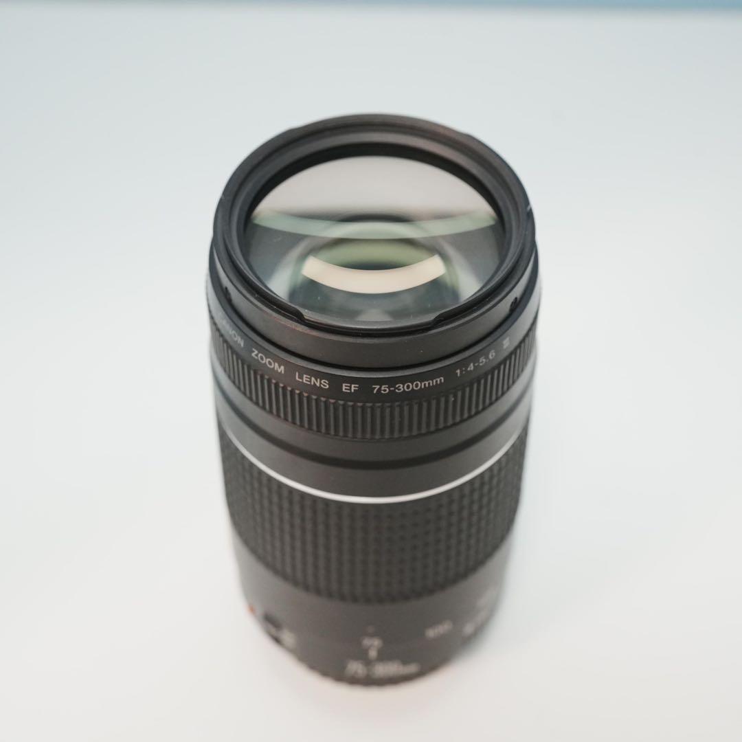 Canon純正 75-300mm 望遠レンズ 極美品 a4896