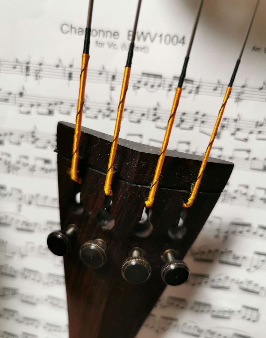 ワイヤレスイヤホン バンドリ！ Roselia ロゼリア Onkyo 正規品