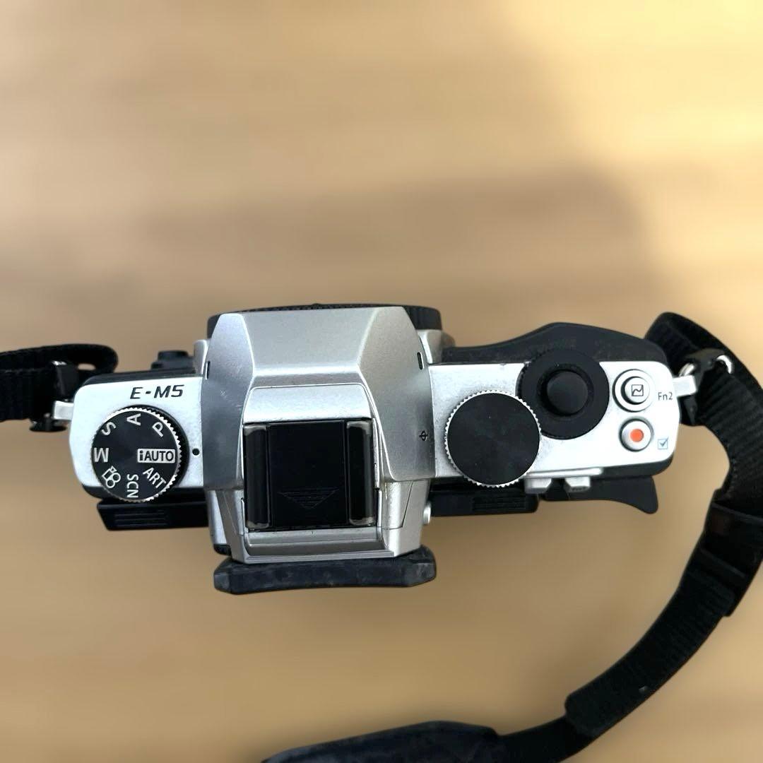 OLYMPUS OM-D E-M5 ボディ 【シャッター数6551】