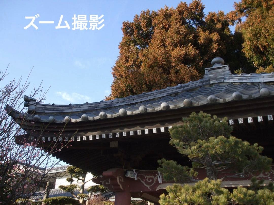 実写美⭕️良品【動作確認済み】FUJIFILM FinePix A900