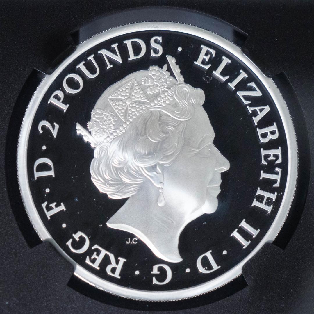 2017 クイーンズビースト ライオン NGC PF70UC 2ポンド 銀貨 - メルカリ