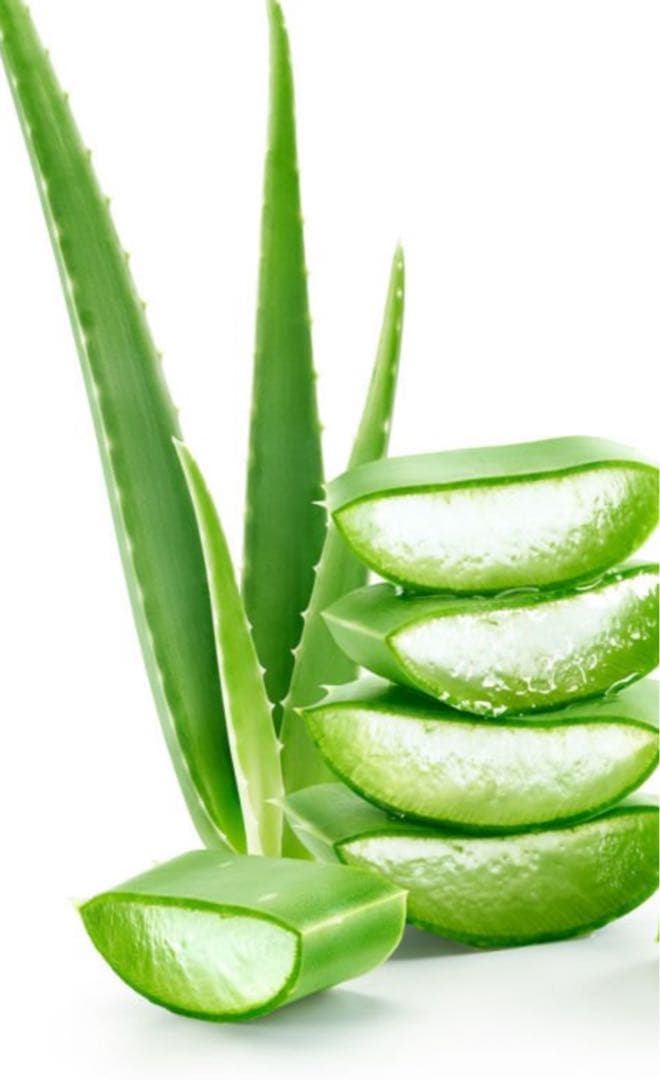 Mame 様　　専用ページ♡ mame / Closer To You ロングスリーヴTシャツ (2299991666216