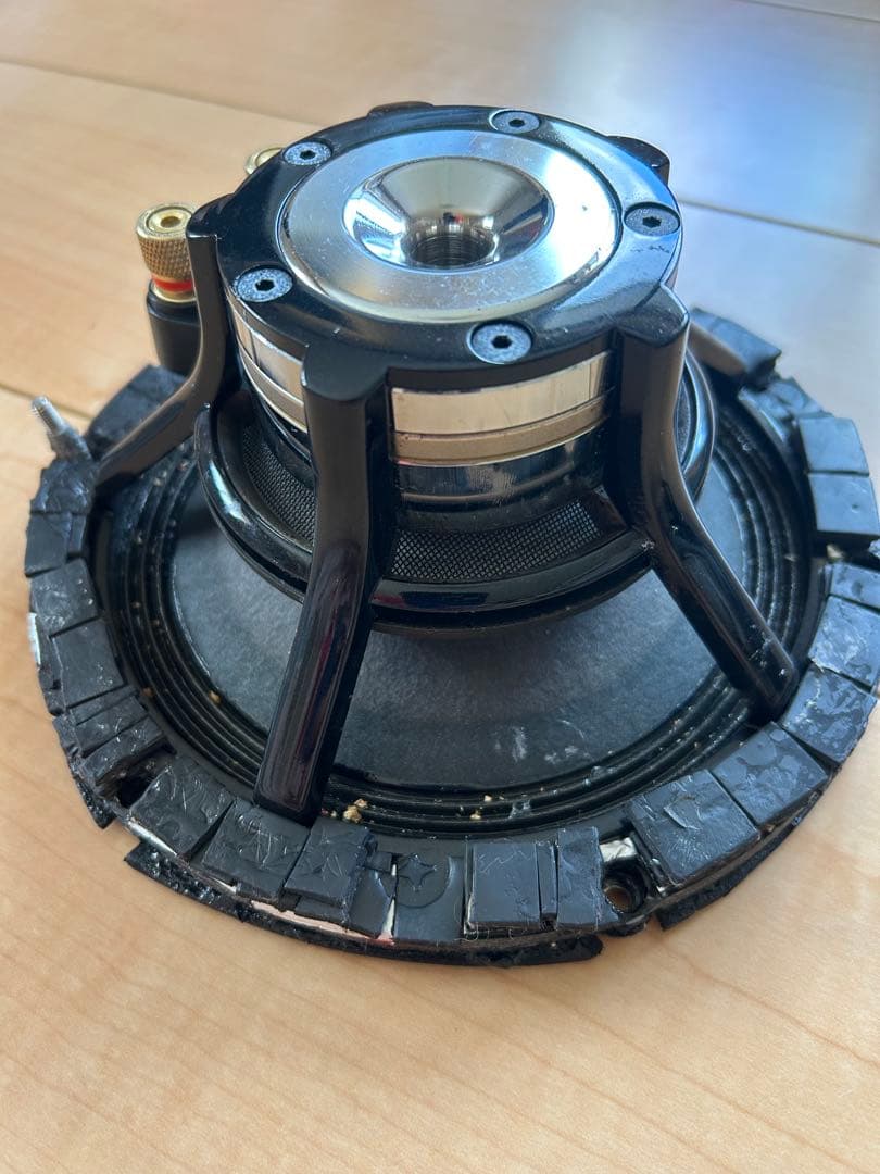 carrozzeria　TS-M1RSⅡ