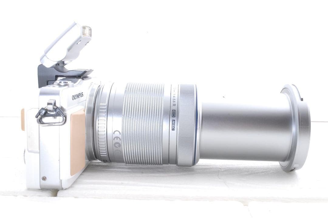 OLYMPUS PEN Mini E-PM2 ダブルズームキット内蔵フラッシュ付