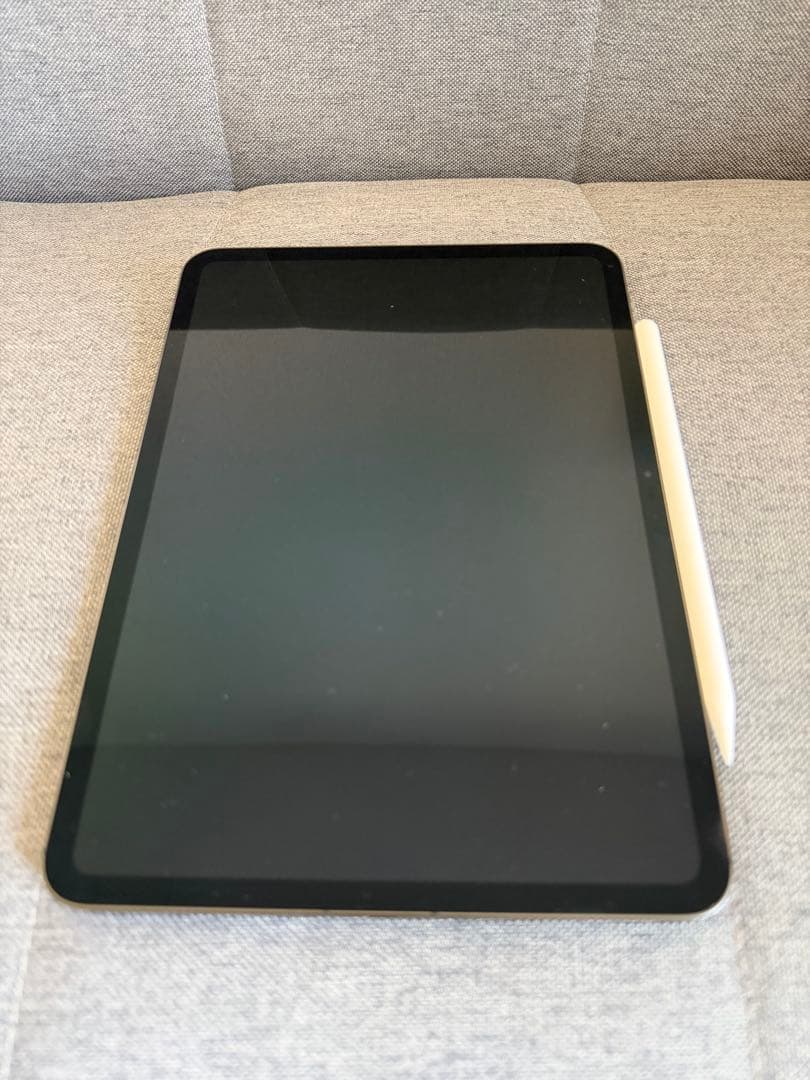 iPad Pro M4 11インチ 256GB Wi-Fi+Cellular