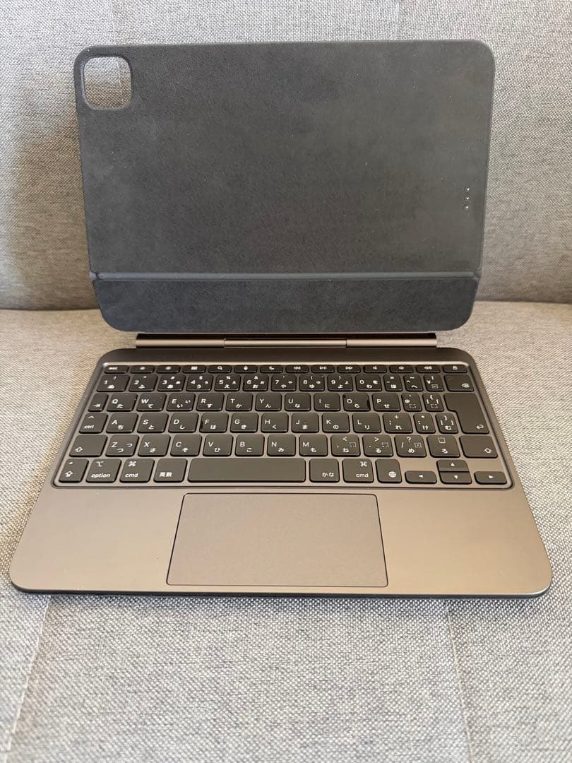 iPad Pro M4 11インチ 256GB Wi-Fi+Cellular