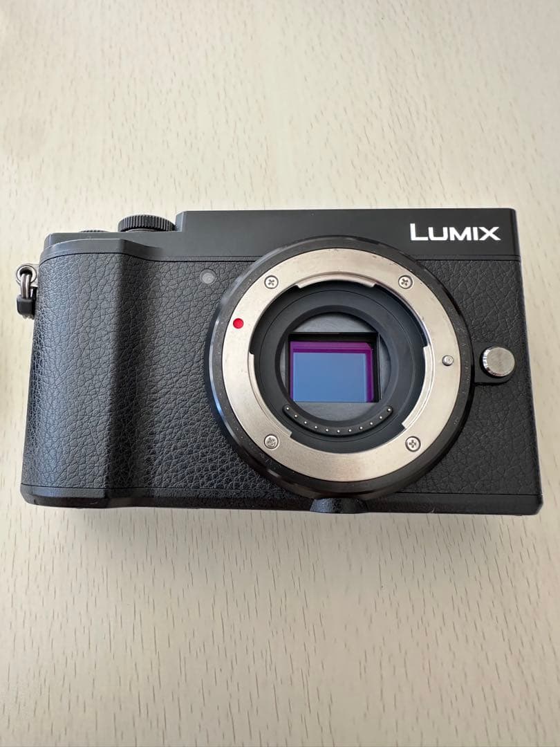 【少しの間お値下げ】Panasonic LUMIX GX7 MARK III