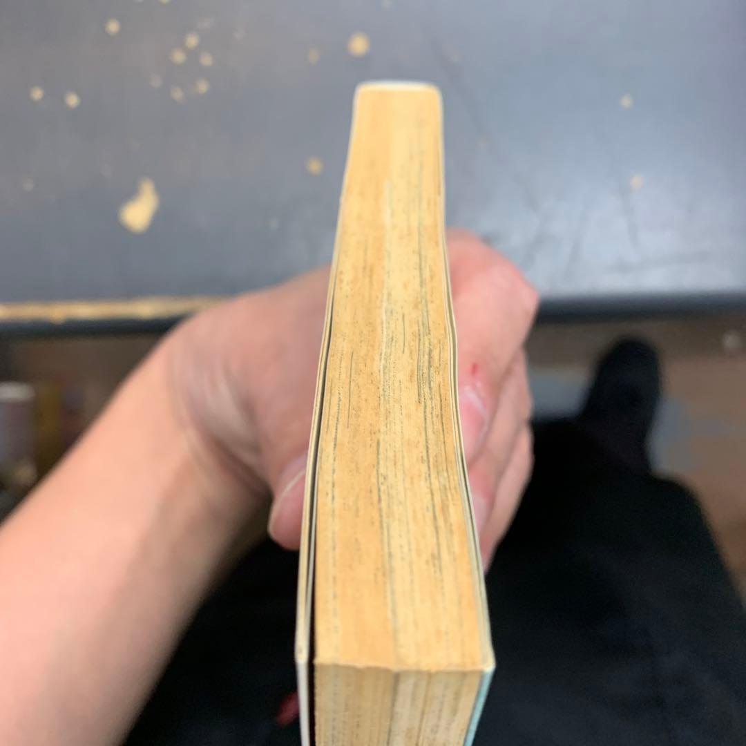 お元気ですか？ 長広洋子　集英社　ユーコミックス