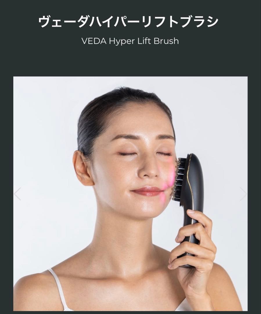 新品未使用｜ヴェーダ ハイパーリフトブラシ　EMS