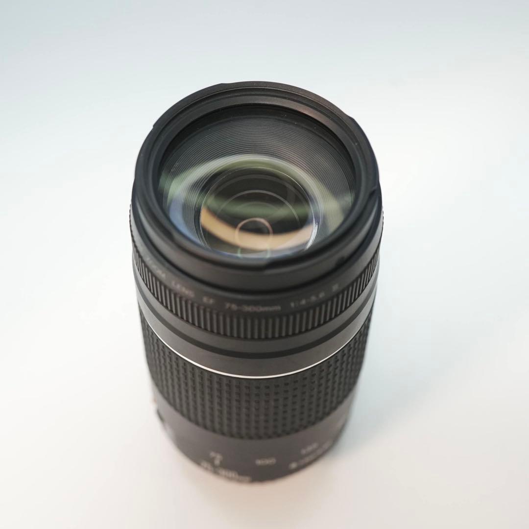 Canon純正 75-300mm 望遠レンズ 美品 a5157