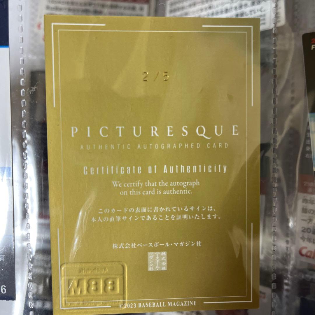 中村剛也 bbm PICTURESQUE 直筆サインカード 5枚限定 - メルカリ