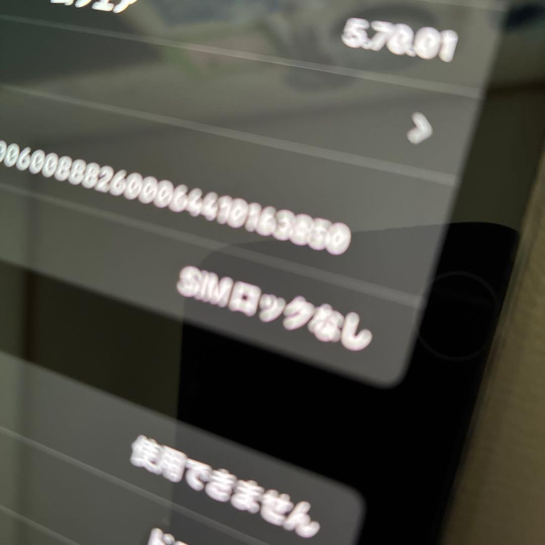 Apple iPhone 12 ProMax 本体