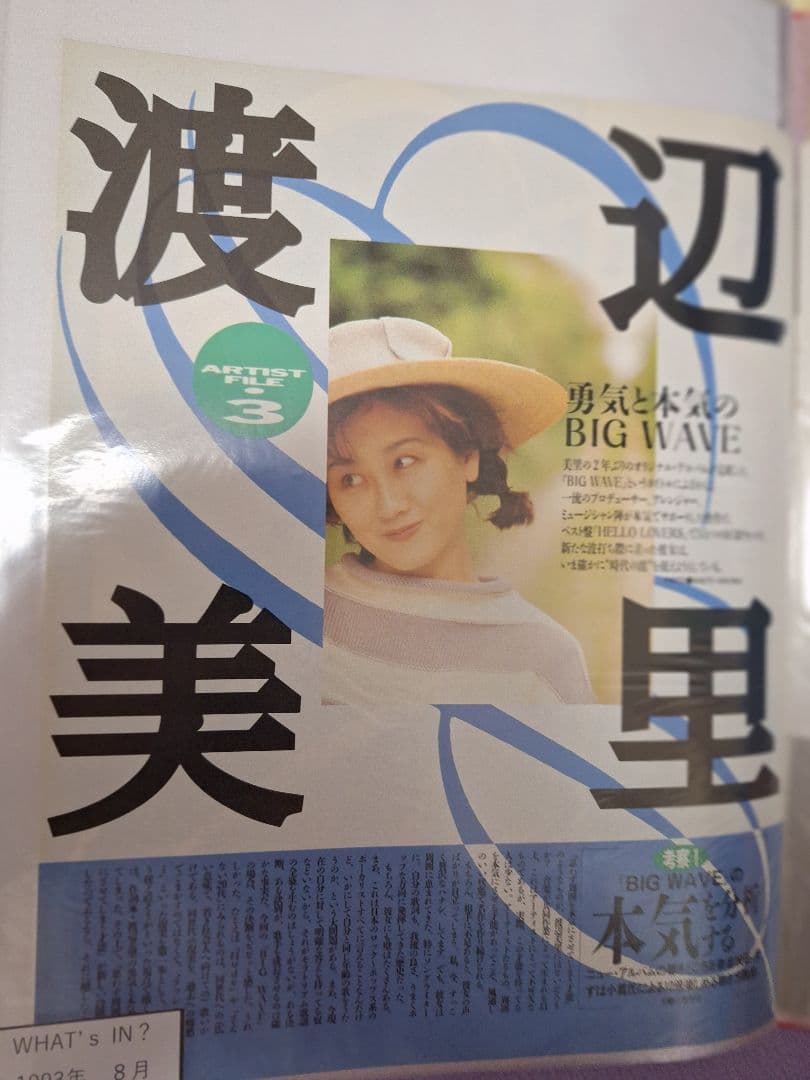 渡辺美里(1冊200円計算)19冊分51ページ切り抜きしファイリング済み