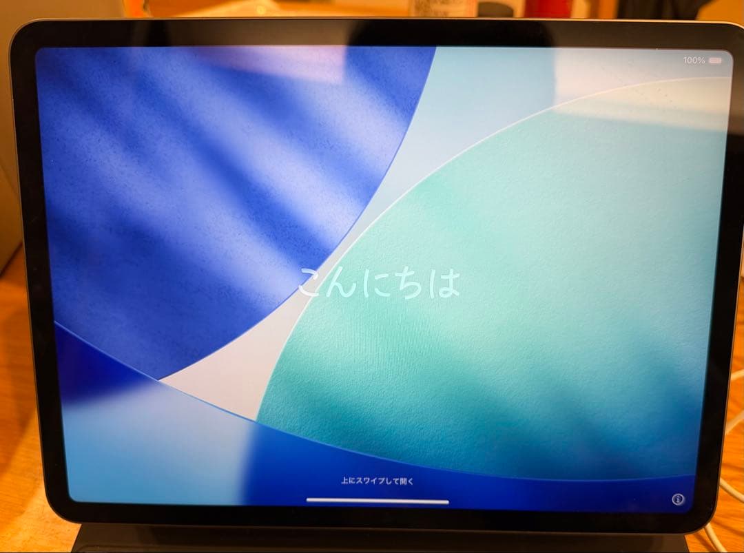 【美品】iPad Pro(第三世代) 11インチ WiFi 256GB Apple iPad Pro 11インチ 第3世代 Wi-Fi+Cellular 256GB 2021年春