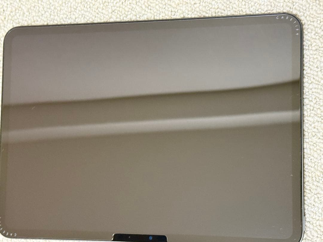 11インチ iPad Pro (M4) 256GB Wi-Fiモデル 本体のみ