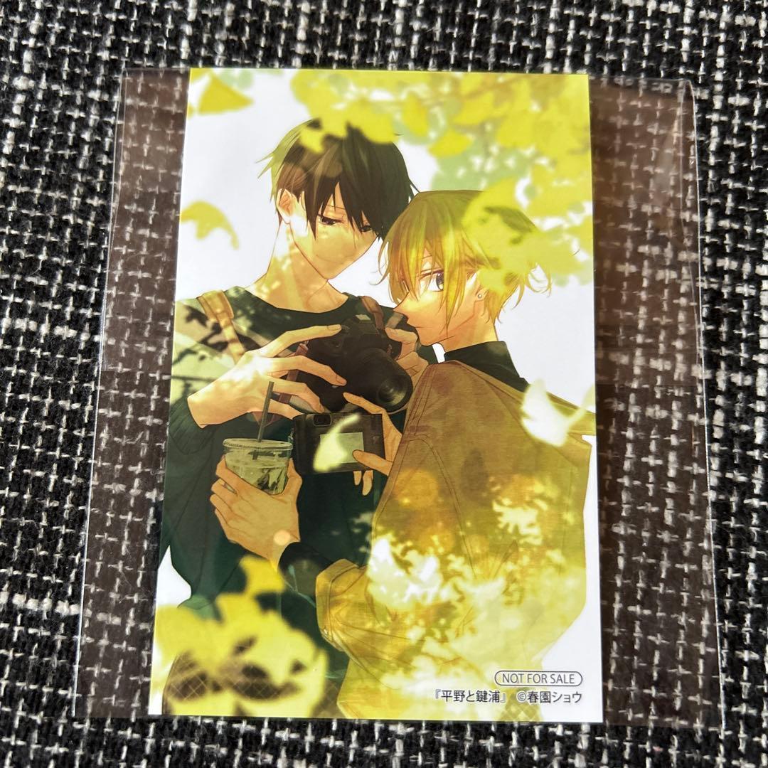 平野と鍵浦 6巻発送記念 アニメイト 特典 ミニカード 平野 鍵浦 - メルカリ