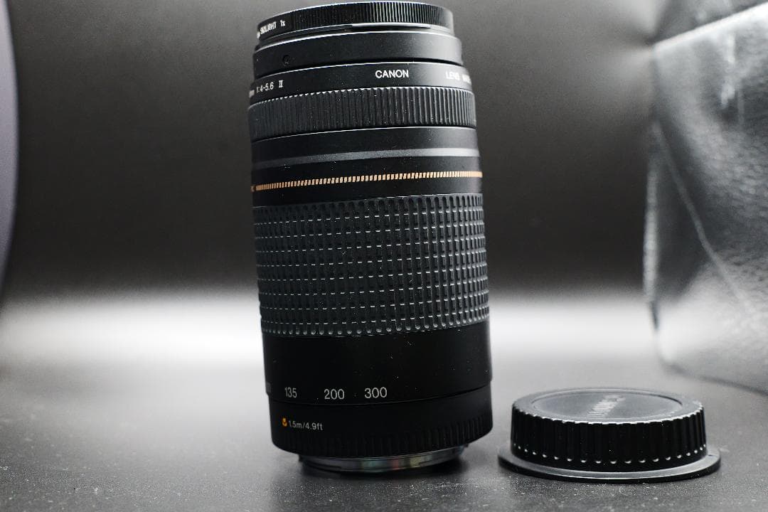 望遠レンズ Canon EFレンズ EF75-300mm F4-5.6 Ⅱ