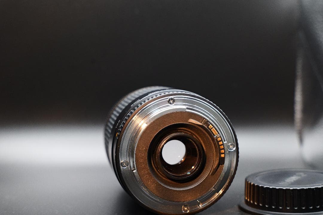 望遠レンズ Canon EFレンズ EF75-300mm F4-5.6 Ⅱ