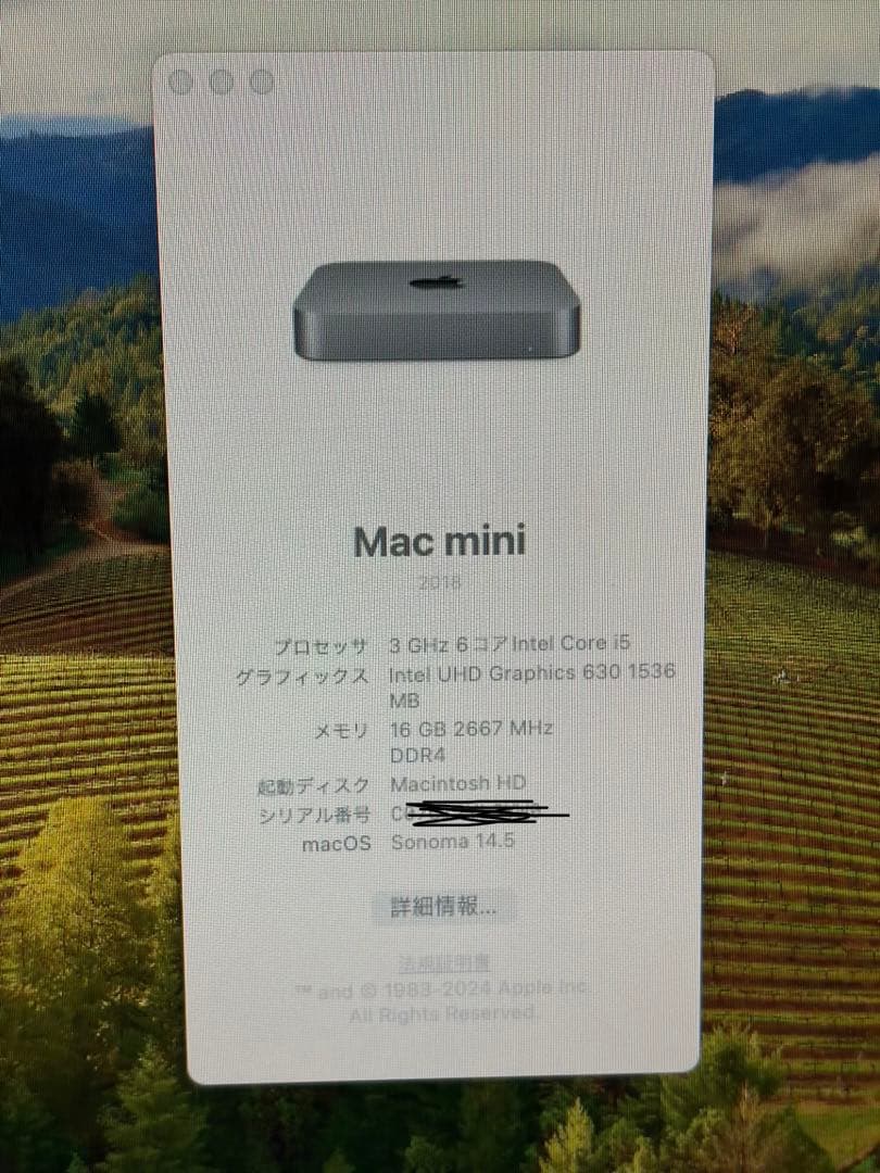 Mac mini 2018 i5 16GB SSD500GB 箱付 美品