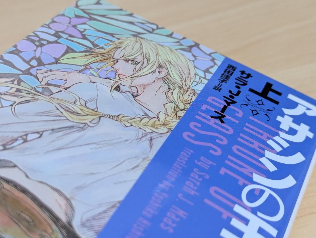 アサシンの王女 上下巻セット