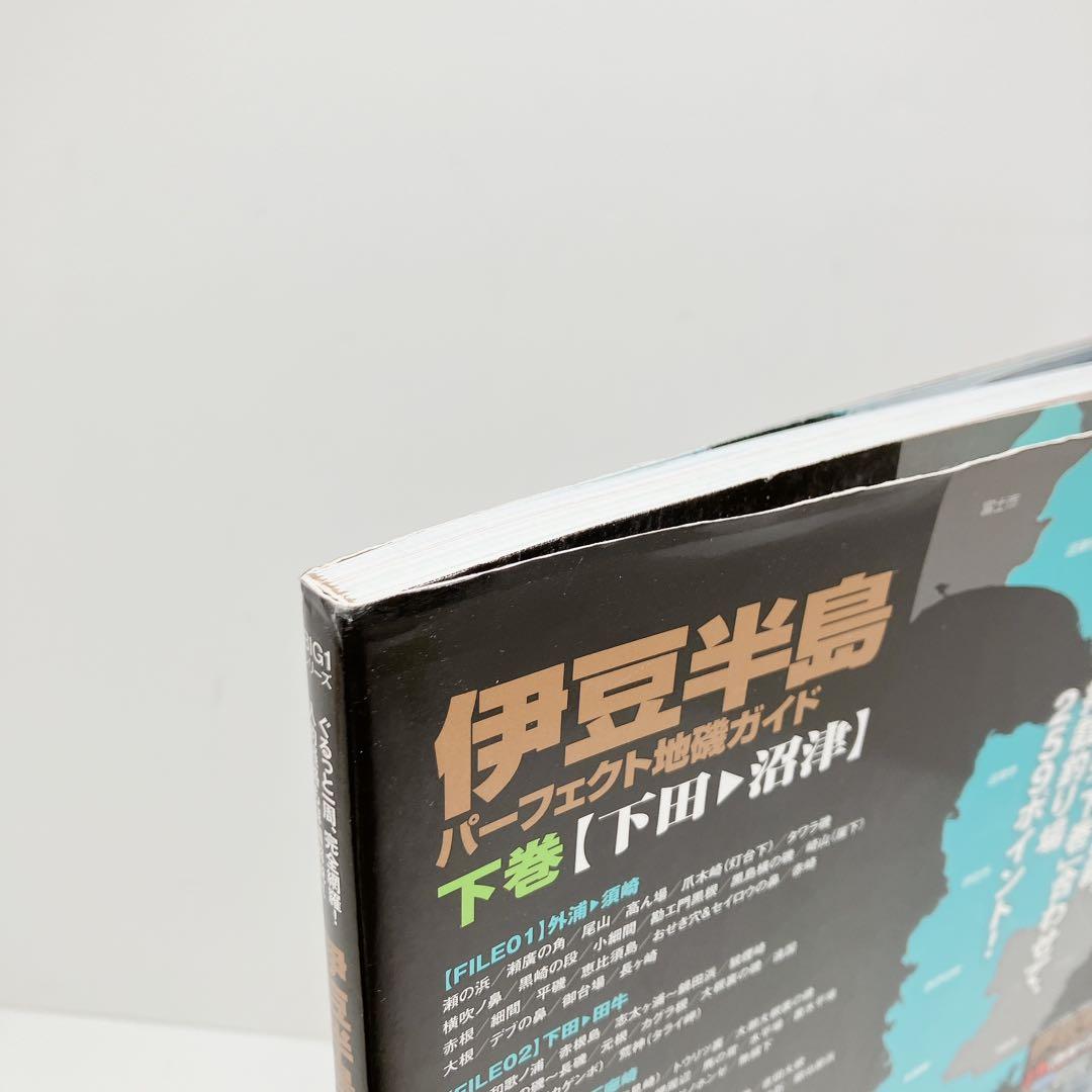 伊豆半島パーフェクト地磯ガイド : ぐるっと一周、完全網羅!入釣経路も