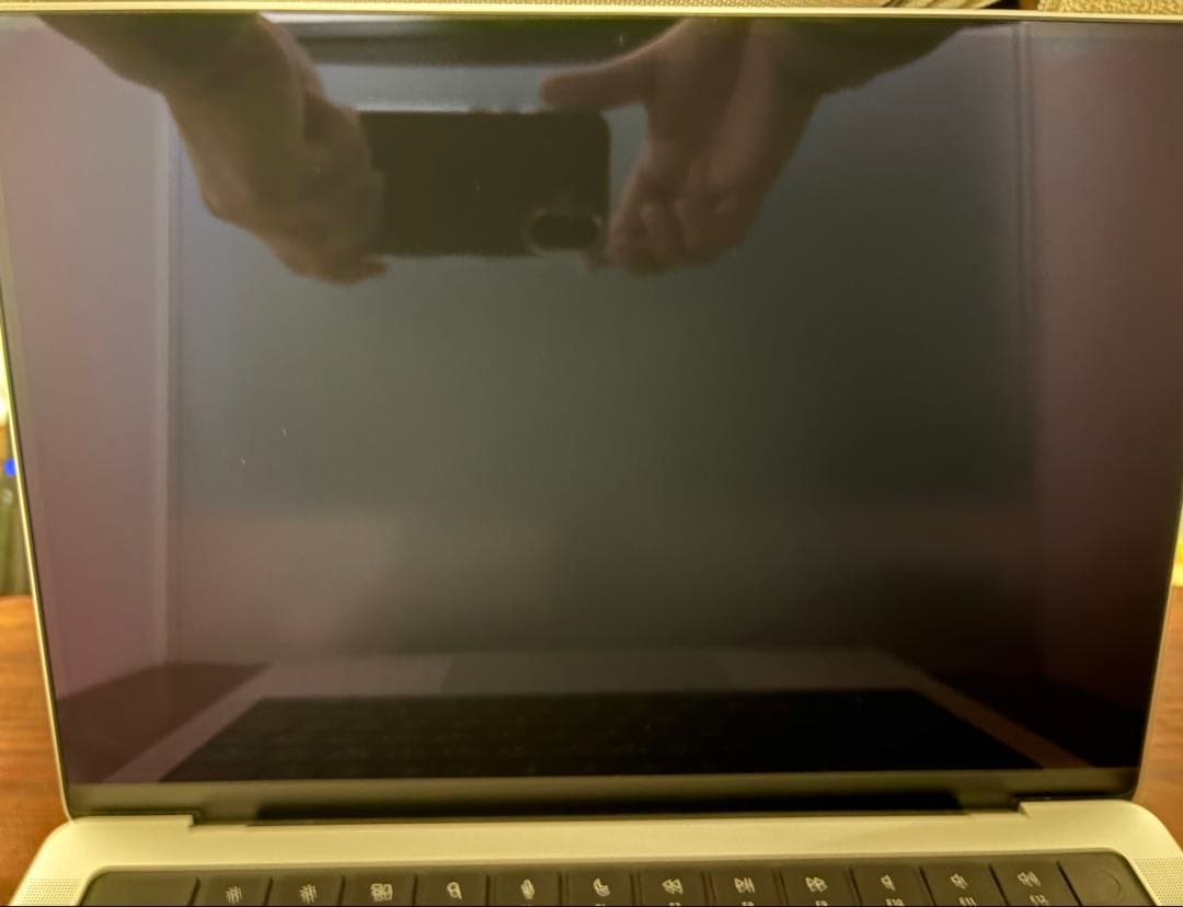 MacBook Pro M4Pro 48GB 512GB 14インチ　Apple