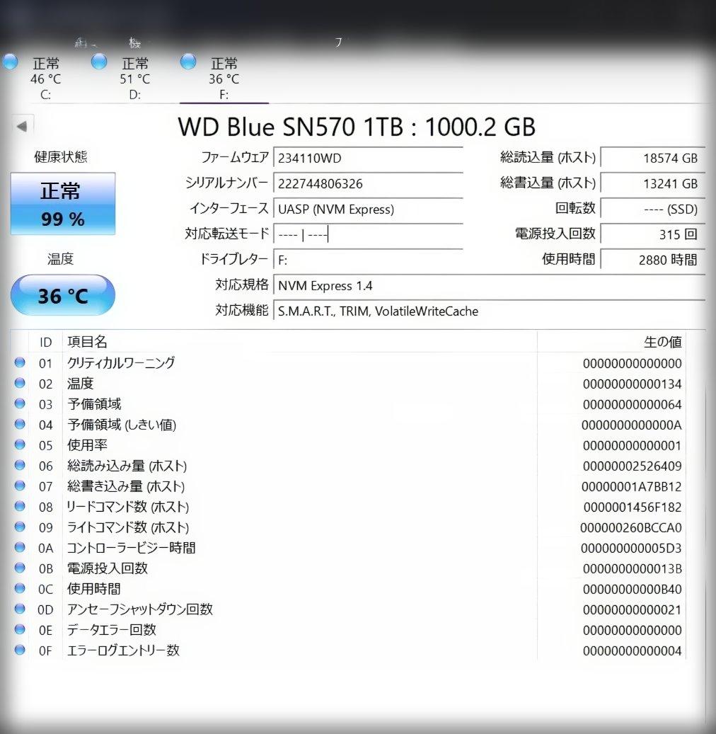 WD Blue SN570 1TB / 正常99% / 使用時間2880h