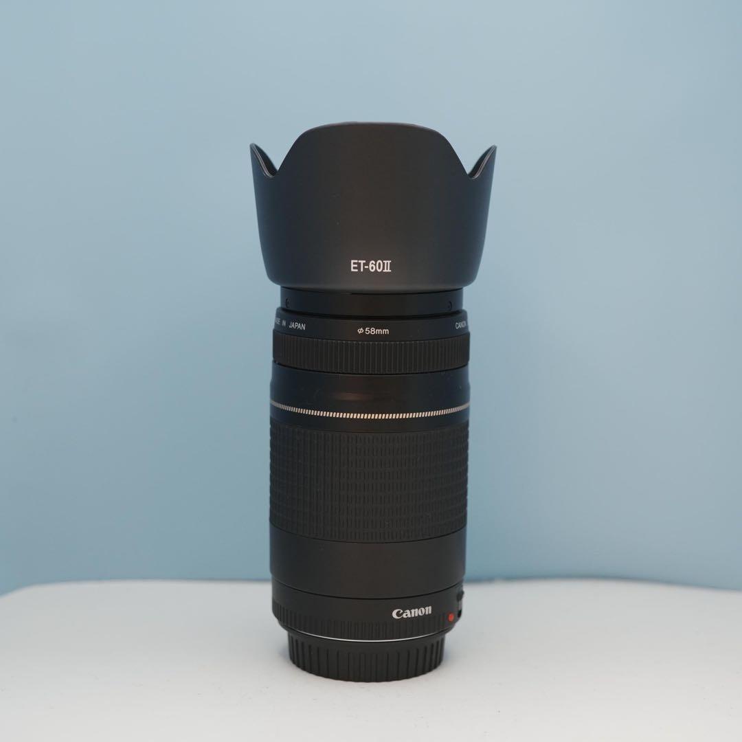 Canon純正 75-300mm 望遠レンズ 美品 a3873