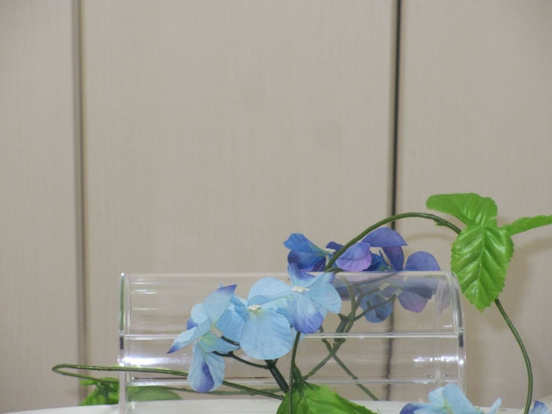 Canon IXY 600F PC1676 充電器 説明書　コンデジ　動作品