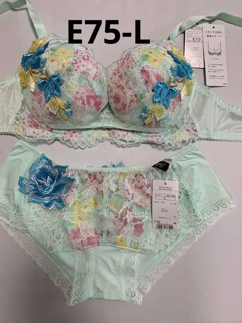 ワコール サルート ブラE75/ショーツL ME メロン - メルカリ