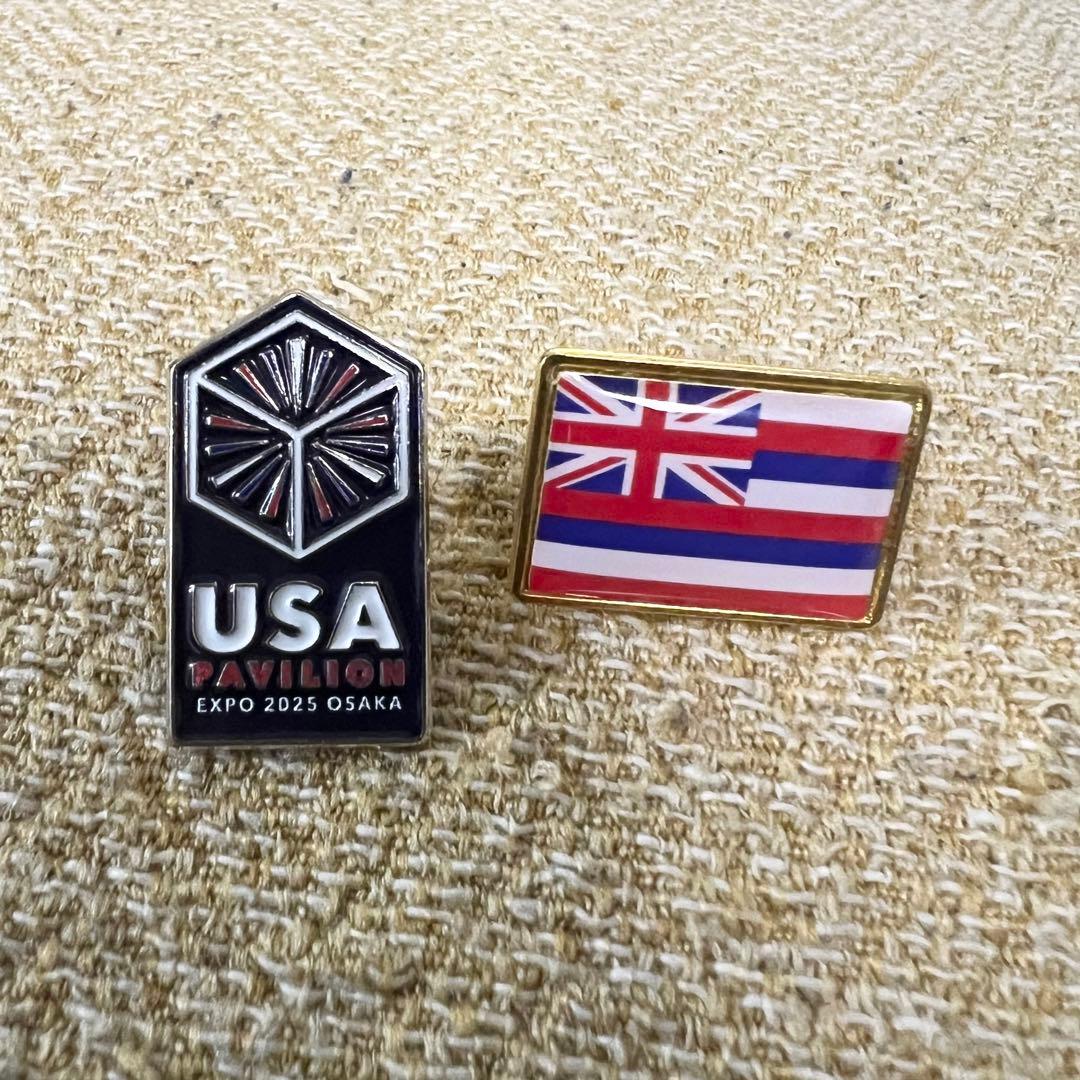非売品】大阪関西万博2025 USA パビリオン アメリカ館 ピンバッジ2点