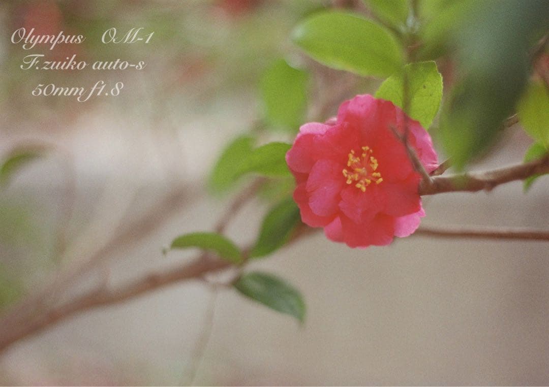 ★★★Andrewさま専用★★★