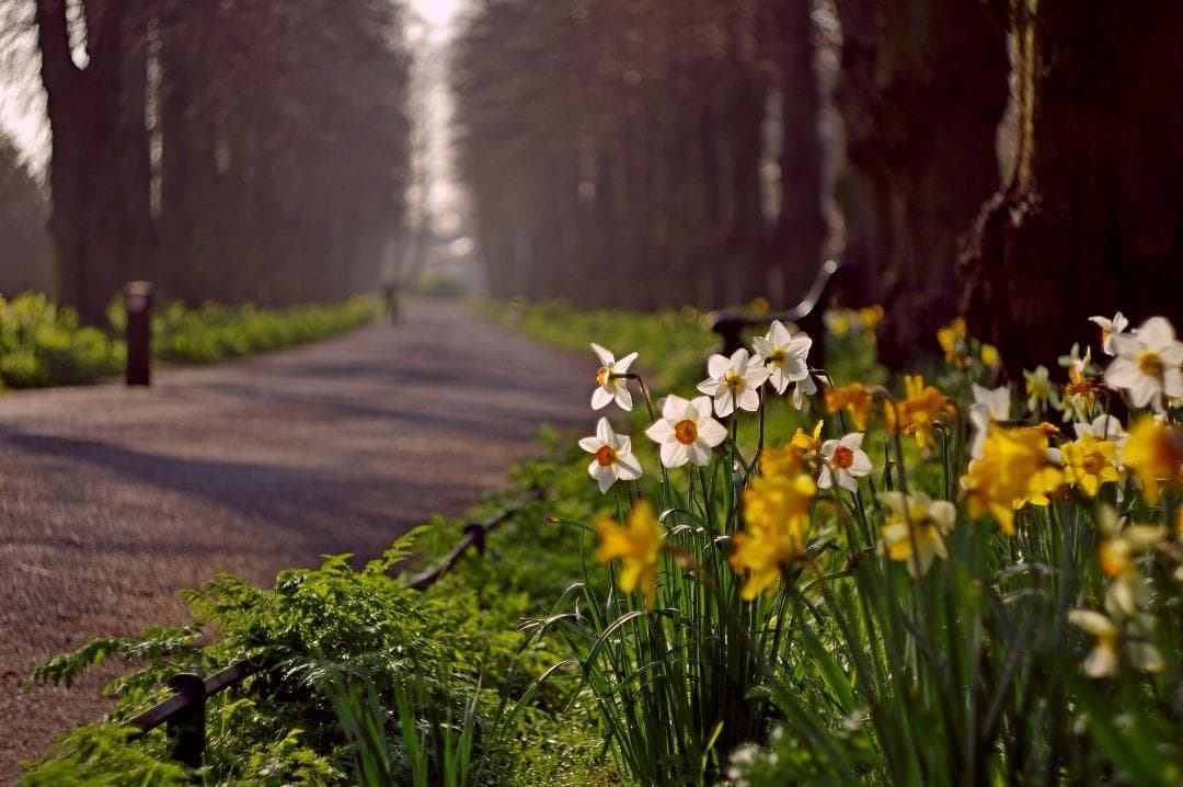 78【希少】初期型 　Helios1950年製造　ヘリオス44　アダプター付