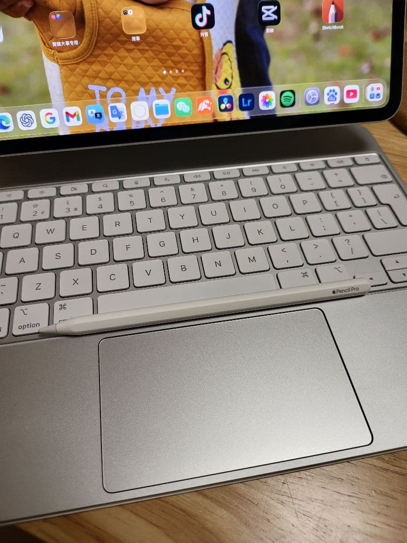 iPad Pro 13インチ 1tbM4マジックキーボードpencilpro2