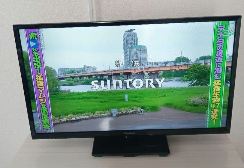 Panasonic　ハイビジョン液晶テレビ　TH-32J300（32V型）