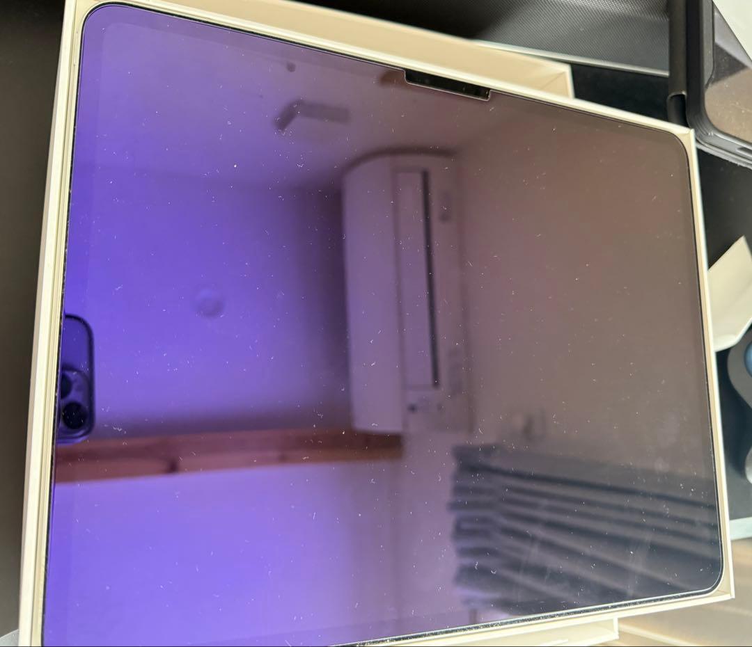 iPad Pro (M4) 256GB Wi-Fi 13インチPencilセット