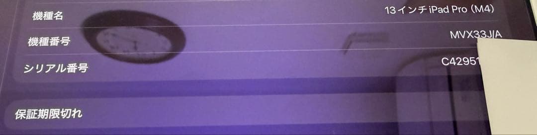 iPad Pro (M4) 256GB Wi-Fi 13インチPencilセット