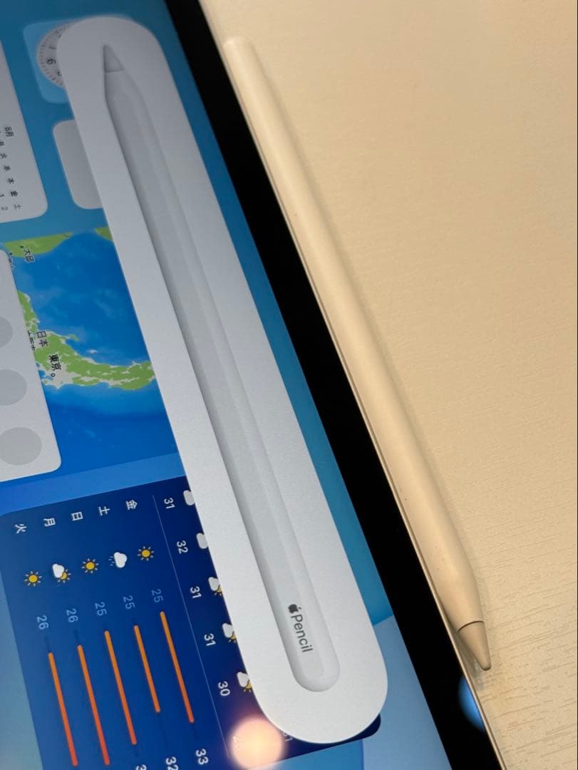 iPad Pro 11 (第4世代) 256GB Wi-Fi+Cellular