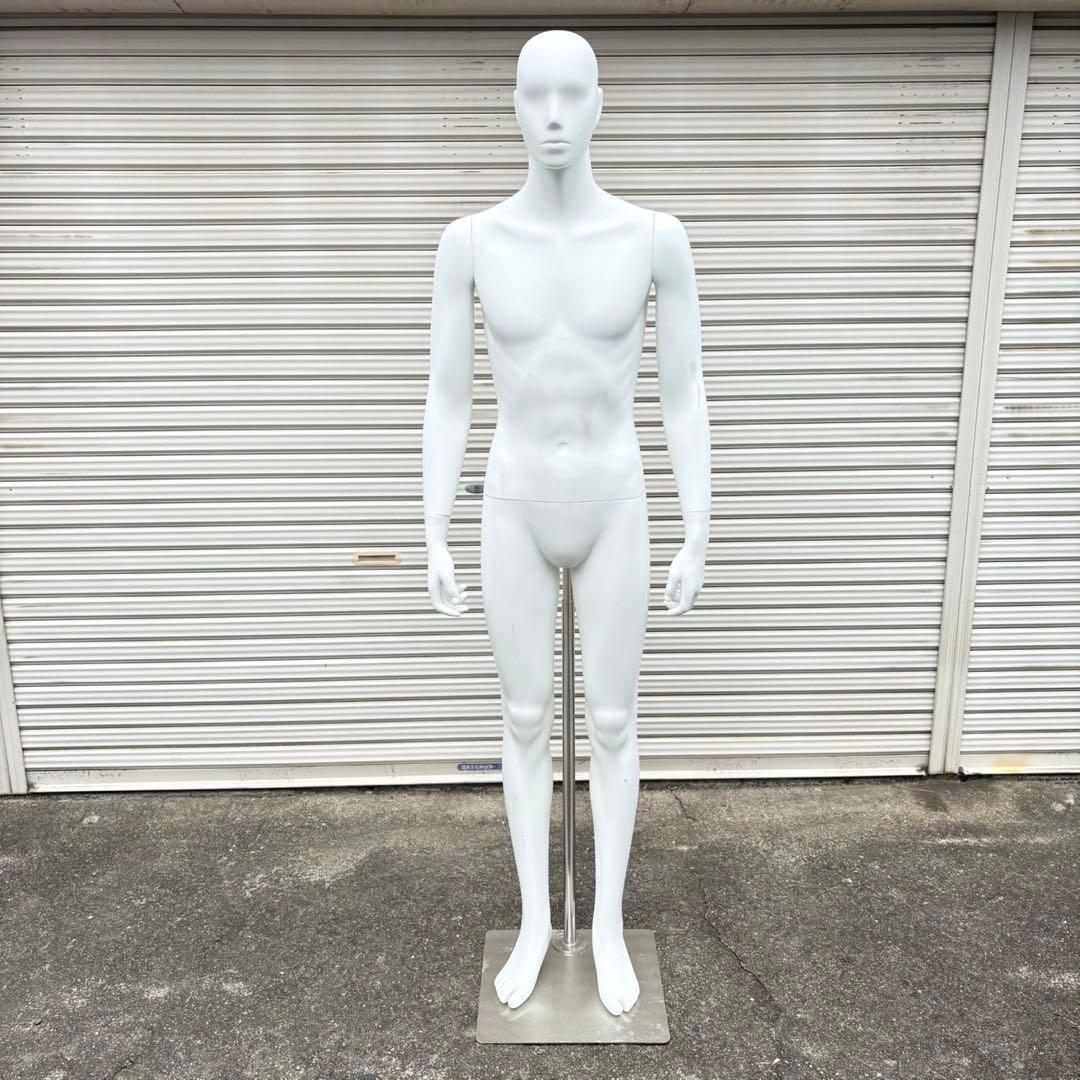 パールイデア パール マネキン 全身 トルソー メンズ - メルカリ