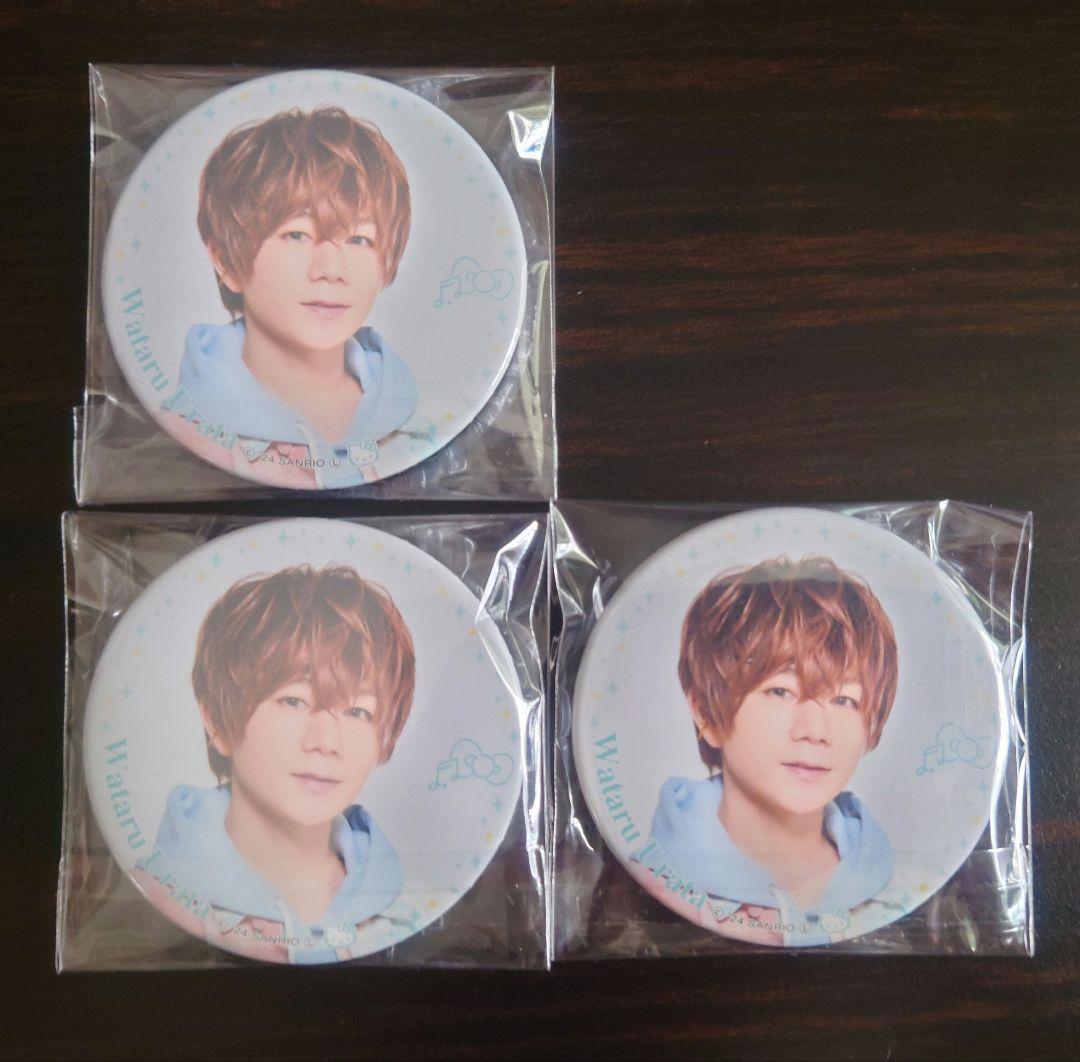 サンリオ 缶バッジ 実写 浦田わたる ハンギョドン - メルカリ