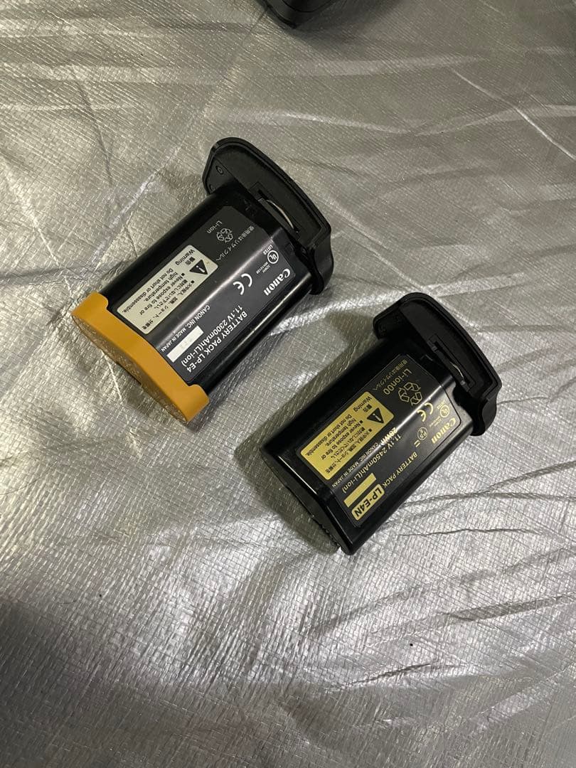 Canon EOS-1D X デジタル一眼レフカメラ