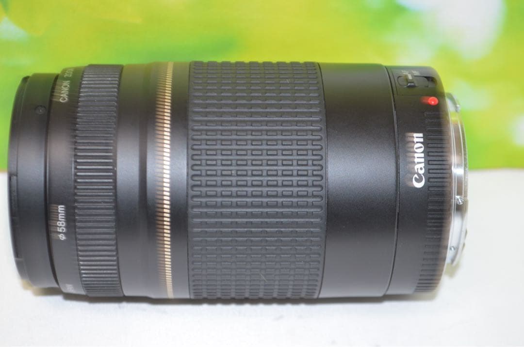 ★美品★300mm超望遠レンズ★CANON EF 75-300mm