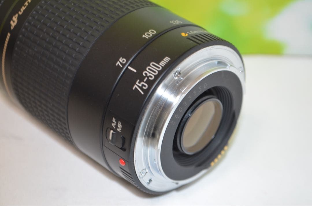 ★美品★300mm超望遠レンズ★CANON EF 75-300mm