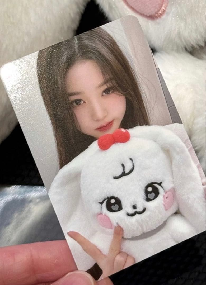 IVE ウォニョン minive ポップアップ限定 30cmぬいぐるみ トレカ